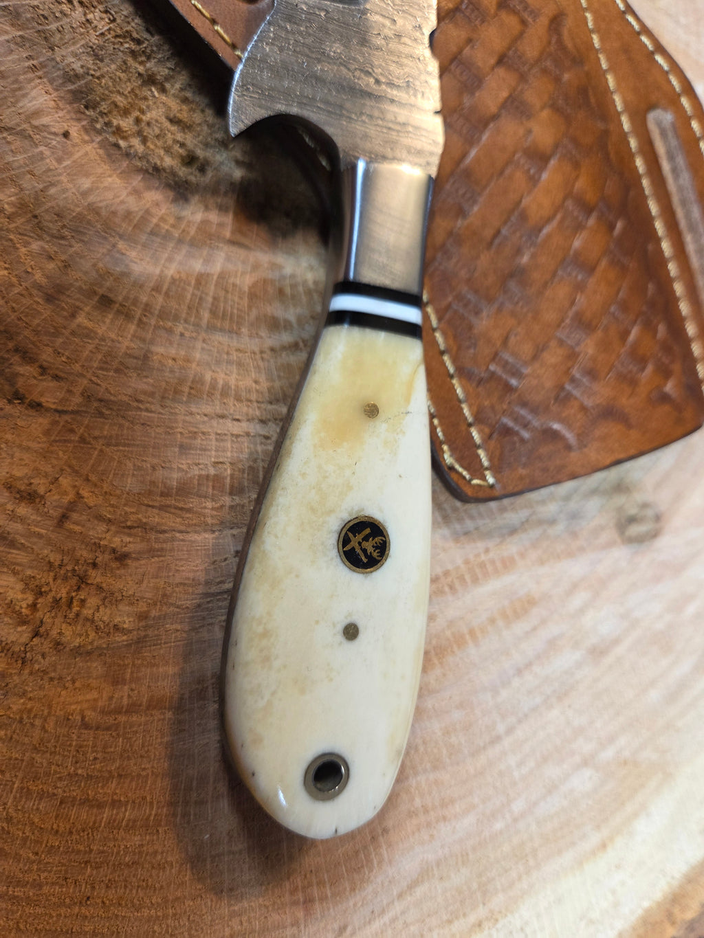 4" blade Damascus bullcutter with bone handle