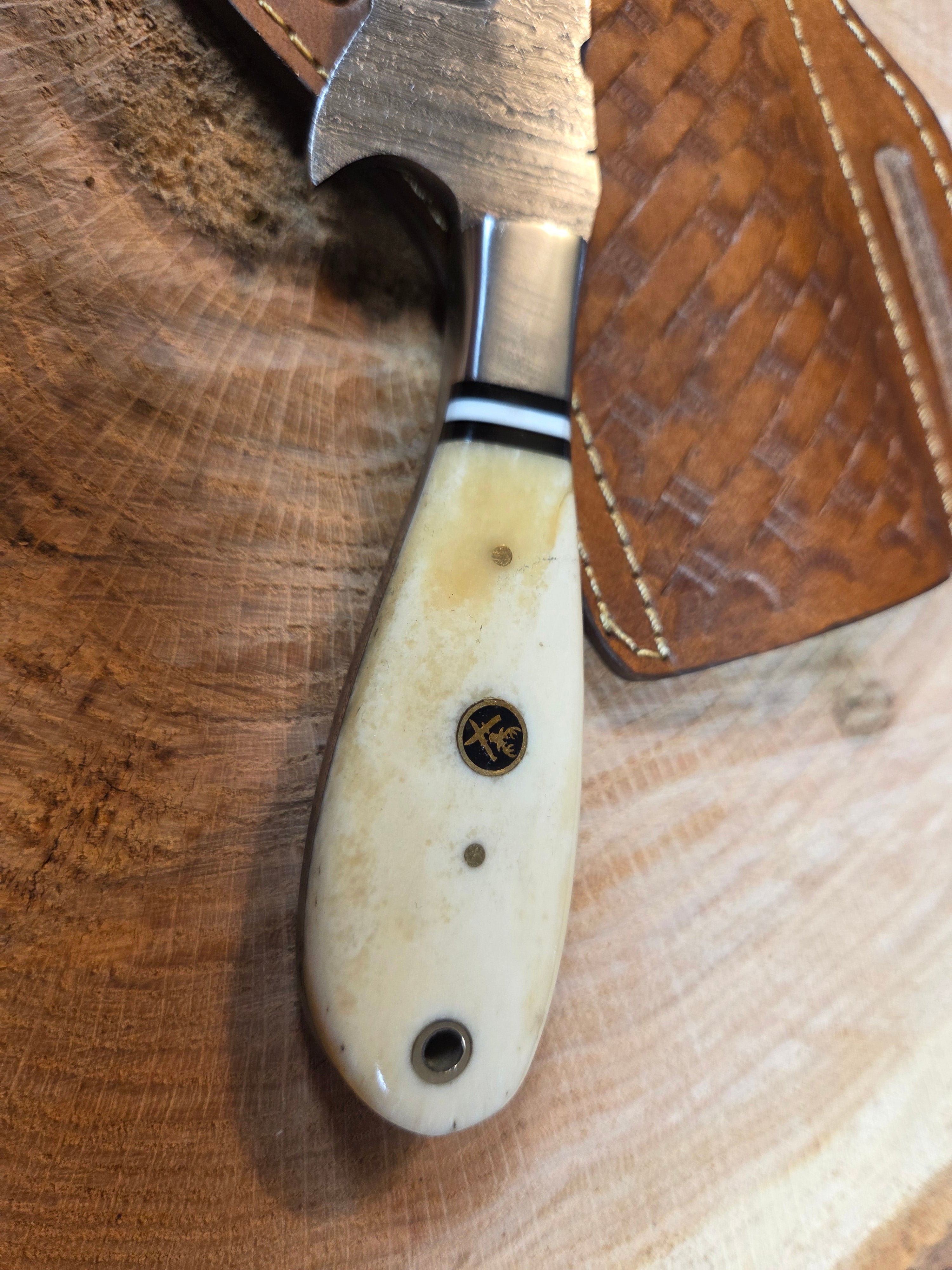4" blade Damascus bullcutter with bone handle